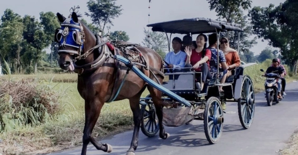 Travel to Indonesia, Viaje a Indonesia, Viaggio in Indonesia