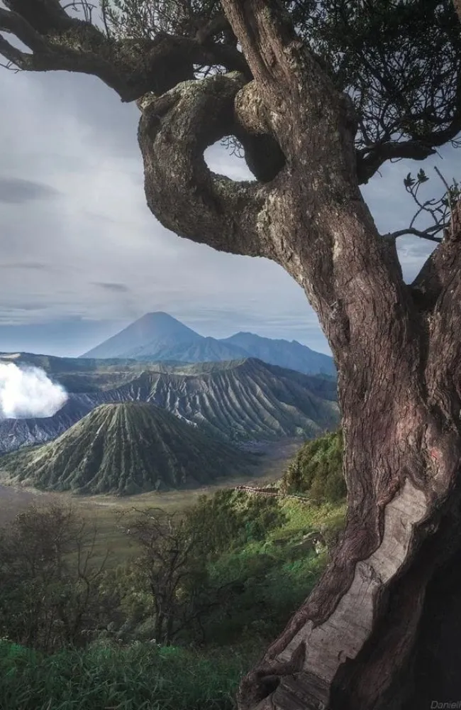 Travel to Indonesia, Viaje a Indonesia, Viaggio in Indonesia