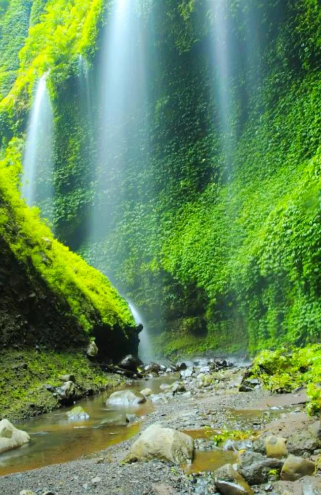 Travel to Indonesia, Viaje a Indonesia, Viaggio in Indonesia