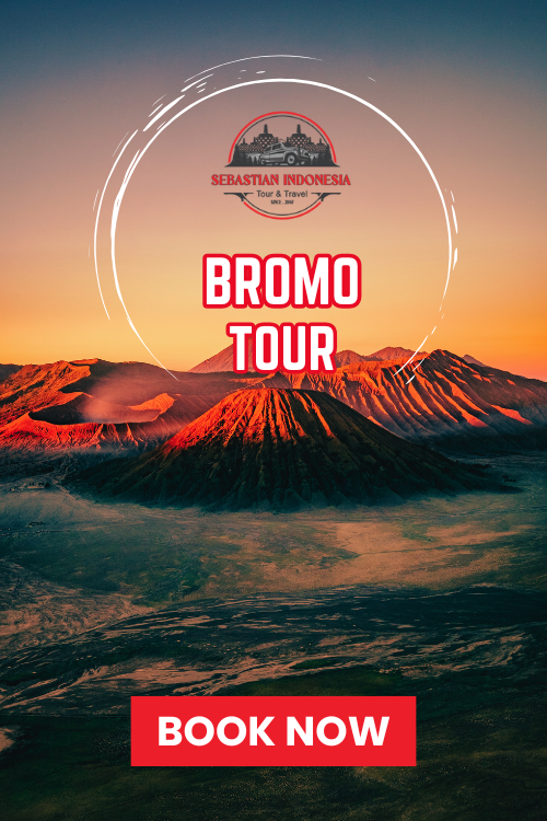 Travel to Indonesia, Viaje a Indonesia, Viaggio in Indonesia
