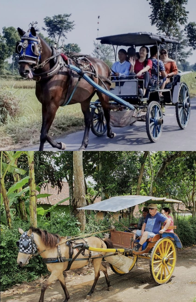 Travel to Indonesia, Viaje a Indonesia, Viaggio in Indonesia