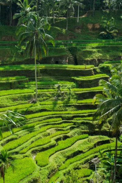 Travel to Indonesia, Viaje a Indonesia, Viaggio in Indonesia