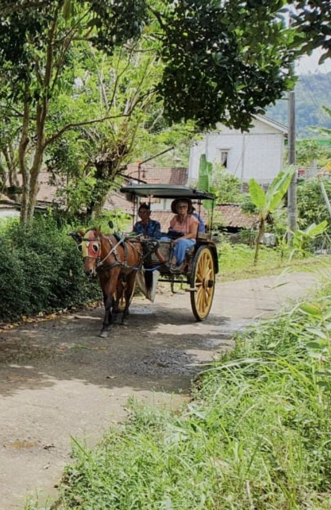 Travel to Indonesia, Viaje a Indonesia, Viaggio in Indonesia