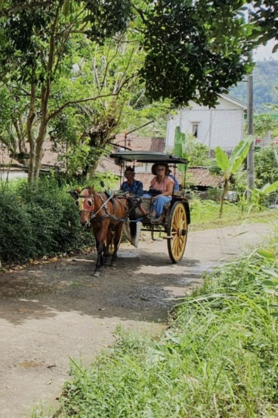 Travel to Indonesia, Viaje a Indonesia, Viaggio in Indonesia